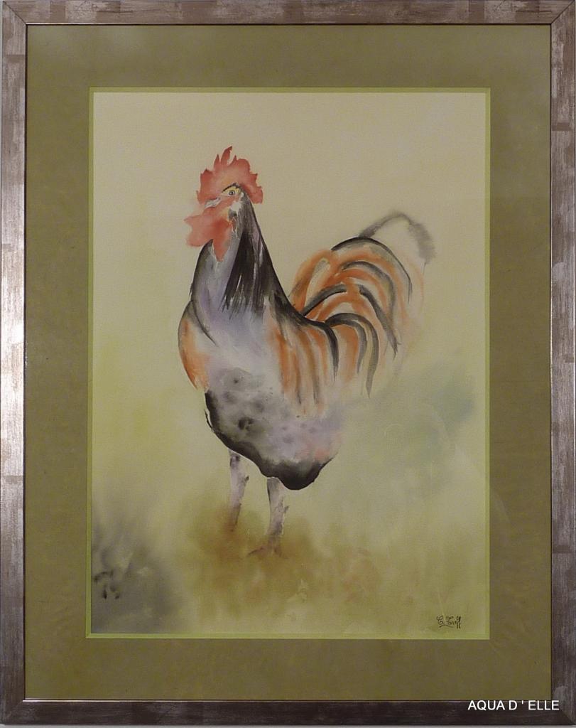 127b-Coq-(68x88)