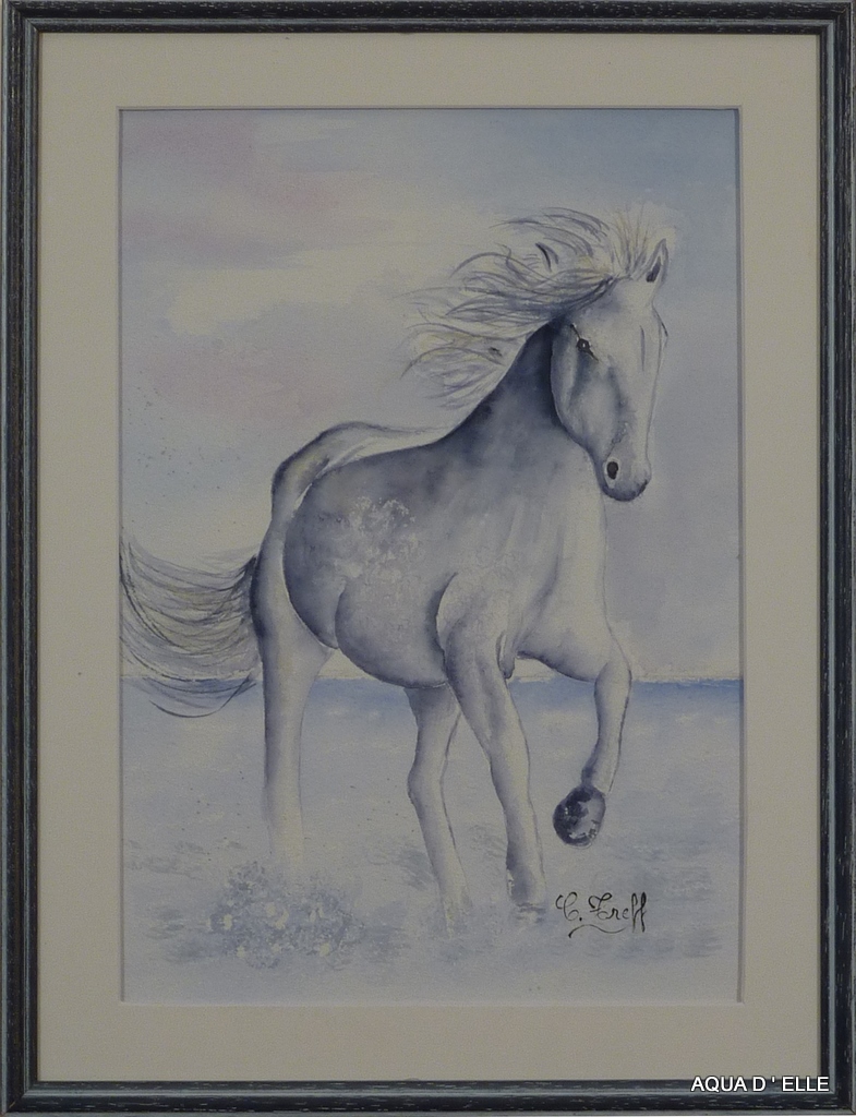 30b-Cheval blanc-(30x40)